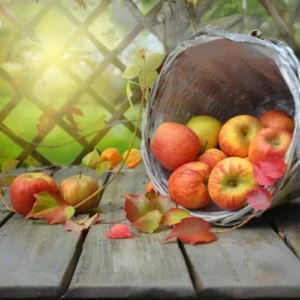 Apple Tea Ingredients