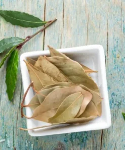 White ceramic square bowl with Bay Leaf, with a fresh Bay Leaf branch on the side