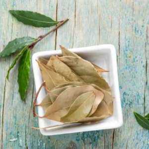 White ceramic square bowl with Bay Leaf, with a fresh Bay Leaf branch on the side