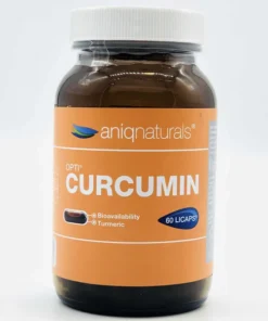 Curcumin tablets 60 pc. - Aniqnaturals