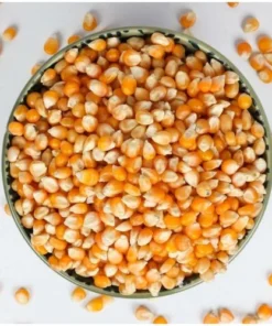 Turkish Natural Dried Corn