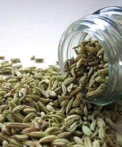 Glass jar toppled over filled with Fennel Seed and excess Fennel Seed pouring out