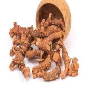 Wooden bowl with a whole bunch of Galangal Root coming out