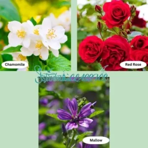 Turkish Sultan Tea Ingredients