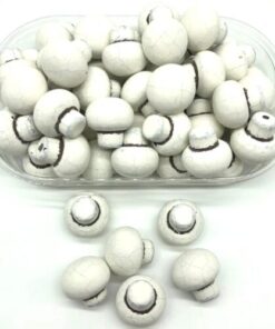 Hazelnut Cream Mushroom Chocolate