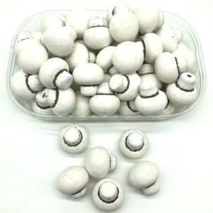 Hazelnut Cream Mushroom Chocolate