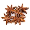 5 Star Anise on a white background